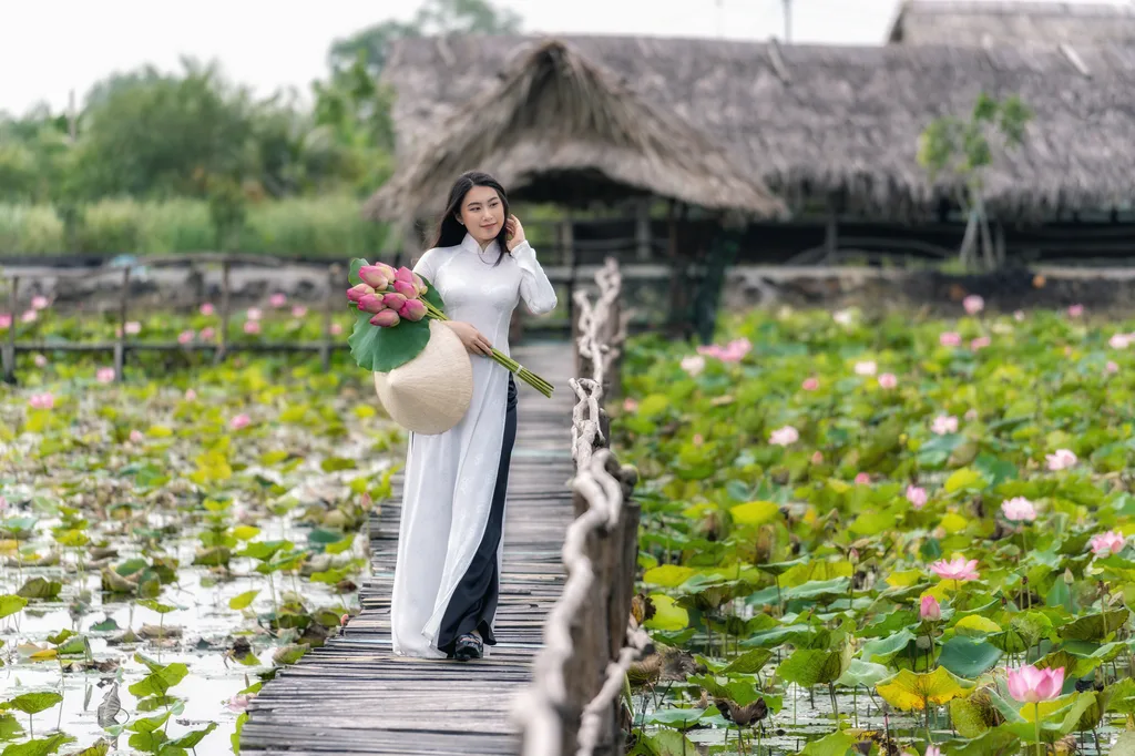 Phụ nữ Việt duyên dáng trong áo dài và nón lá bên hồ sen